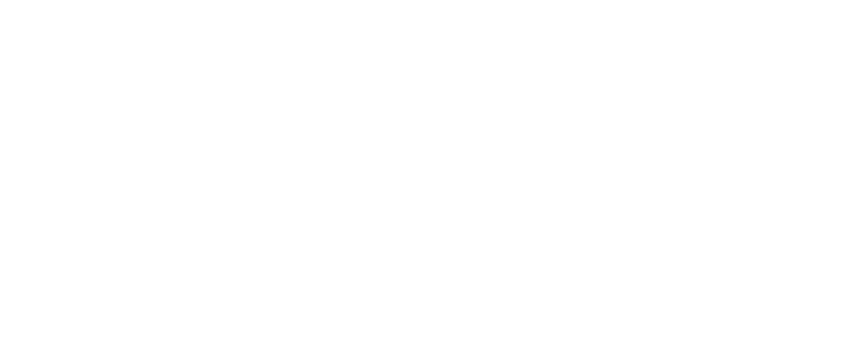 white_logo-transparent_bg.png